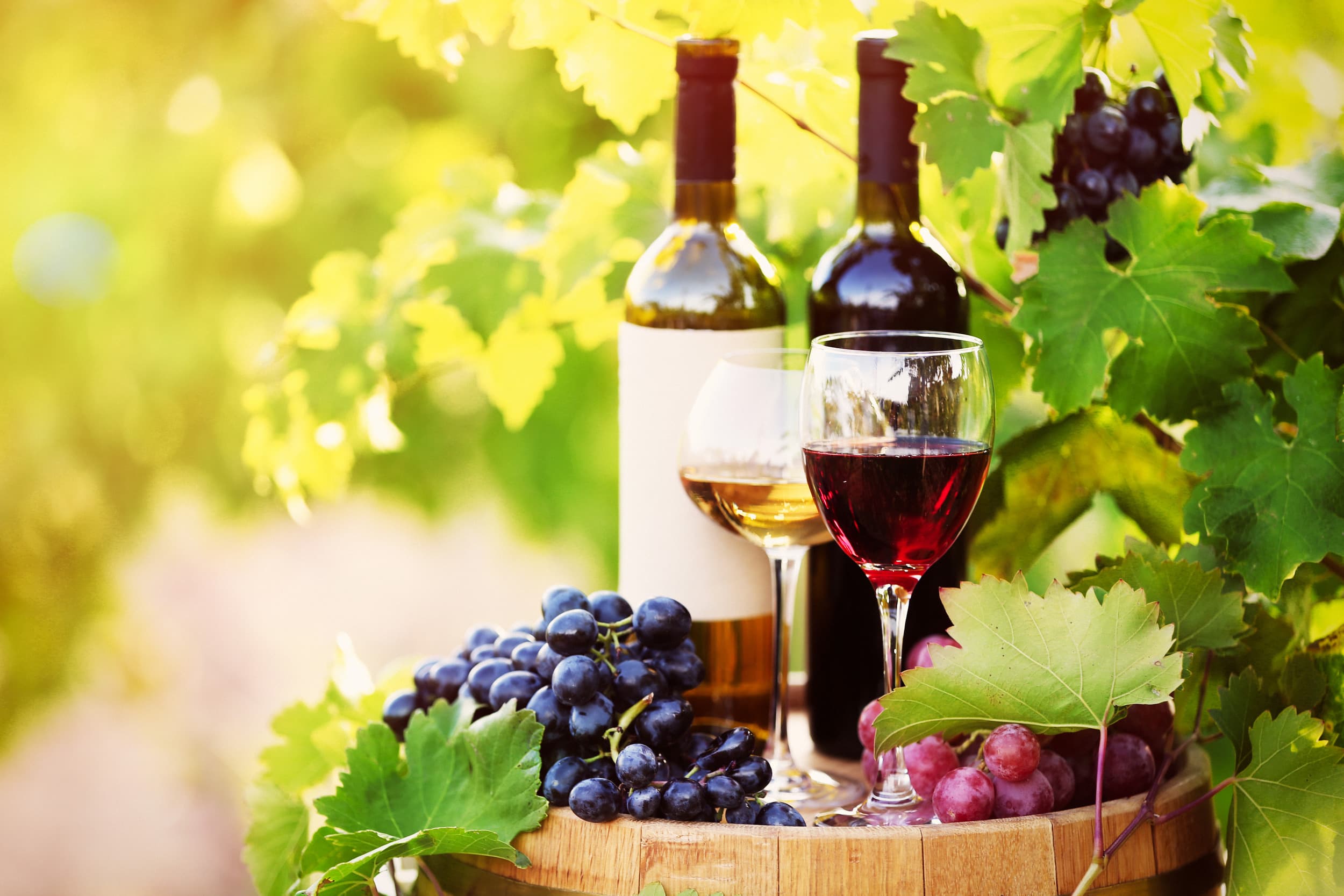 Discover the Wine Heritage of Rhodes